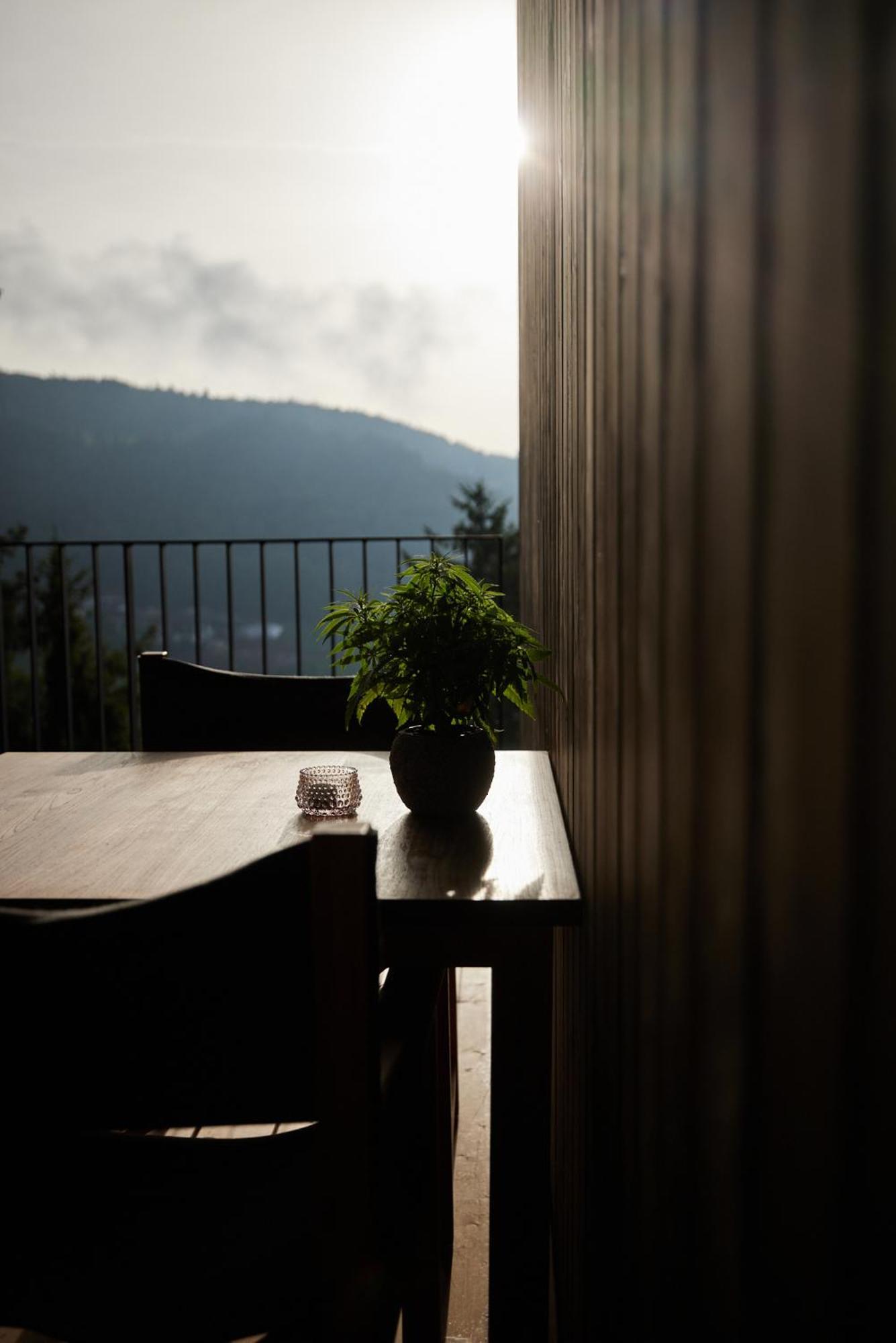Hotel Saltus 4*
