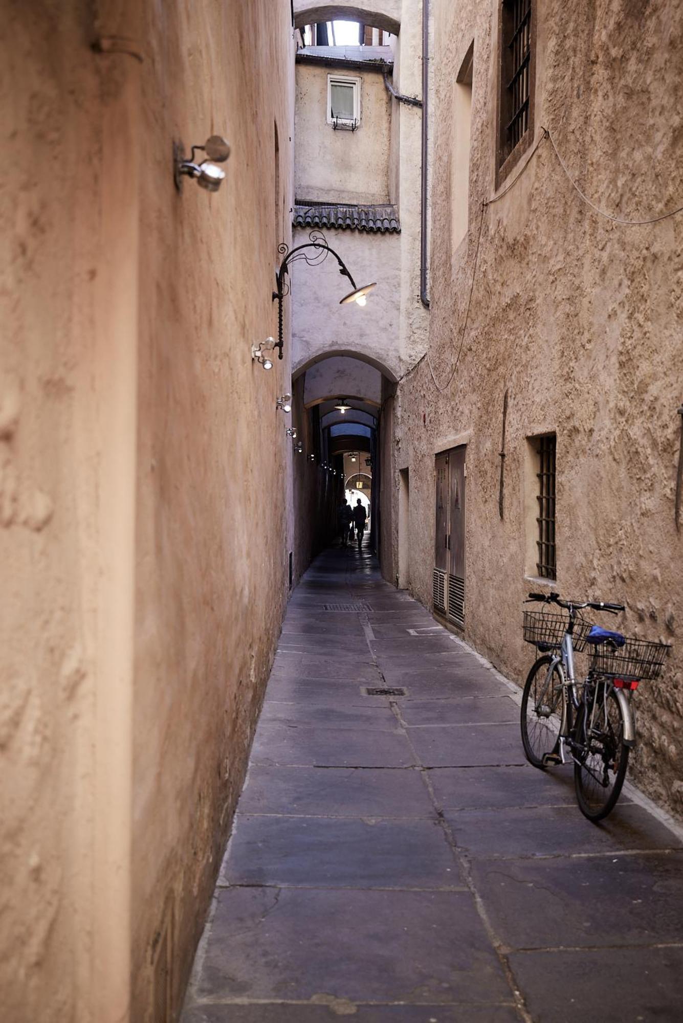 Hotel Saltus Jenesien