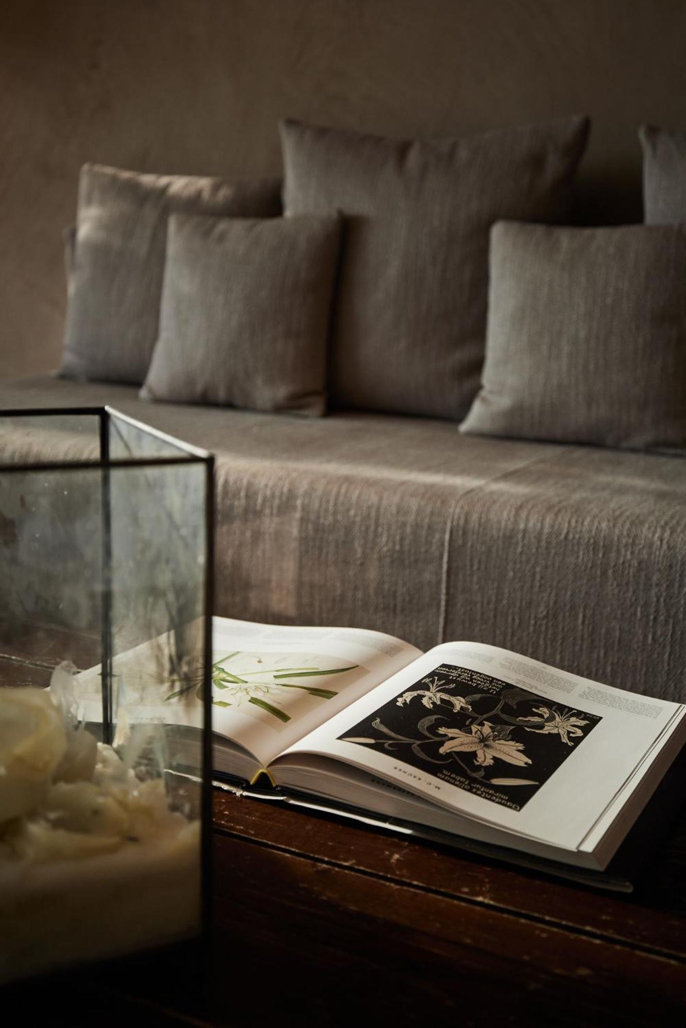 Hotel Saltus 4*