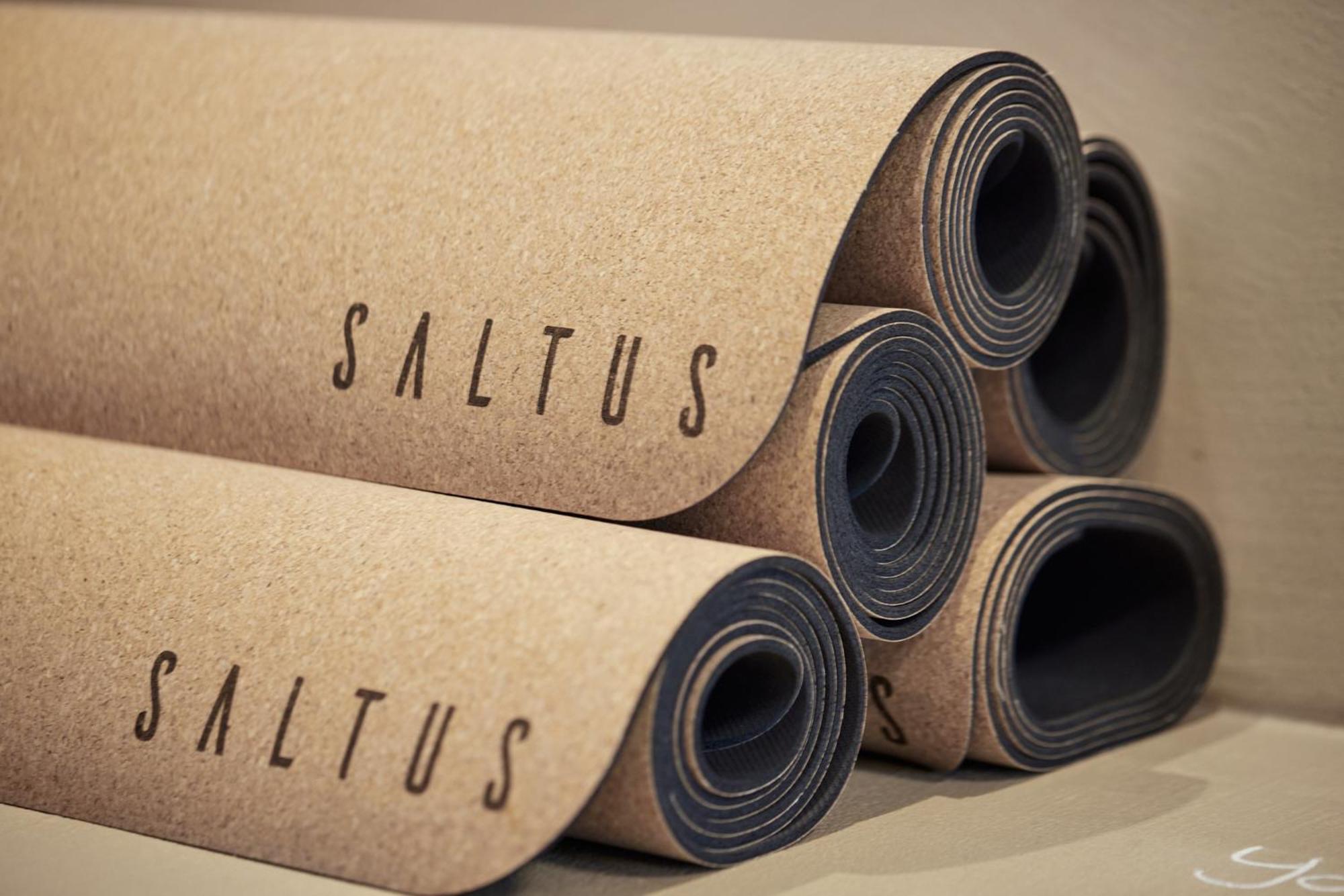 Saltus 4*